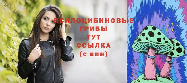 гашик Алексеевка