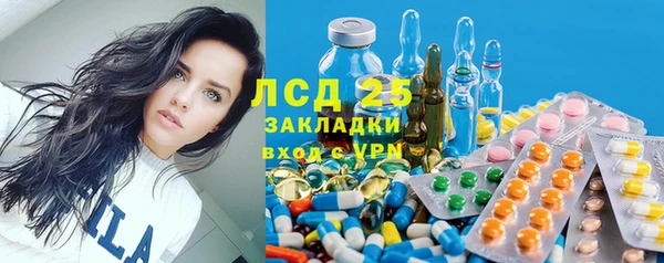 гашик Алексеевка