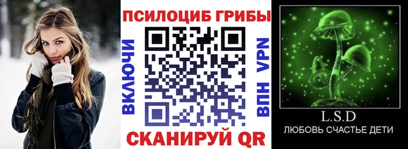 купить  цена  Звенигово  Псилоцибиновые грибы GOLDEN TEACHER 